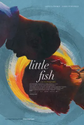 小鱼 / Little Fish